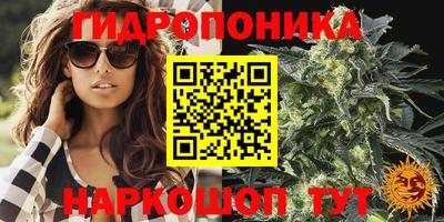 спиды Будённовск