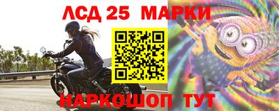 спиды Будённовск