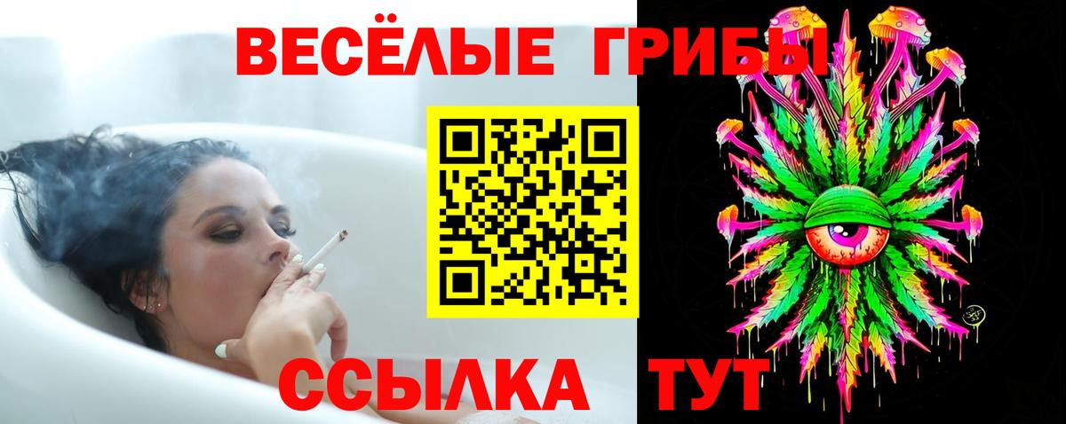 Псилоцибиновые грибы мицелий Сосновоборск