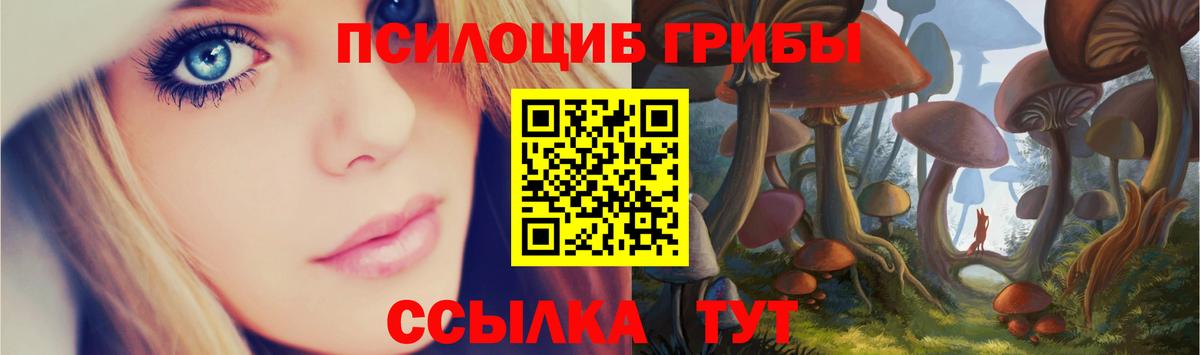 Сосновоборск  Псилоцибиновые грибы Cubensis  Вход с VPN 