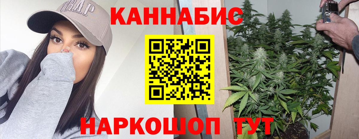 Сосновоборск  Шишки марихуана семена  МАРИХУАНА индика  Вход с VPN  Бошки Шишки ГИДРОПОН 